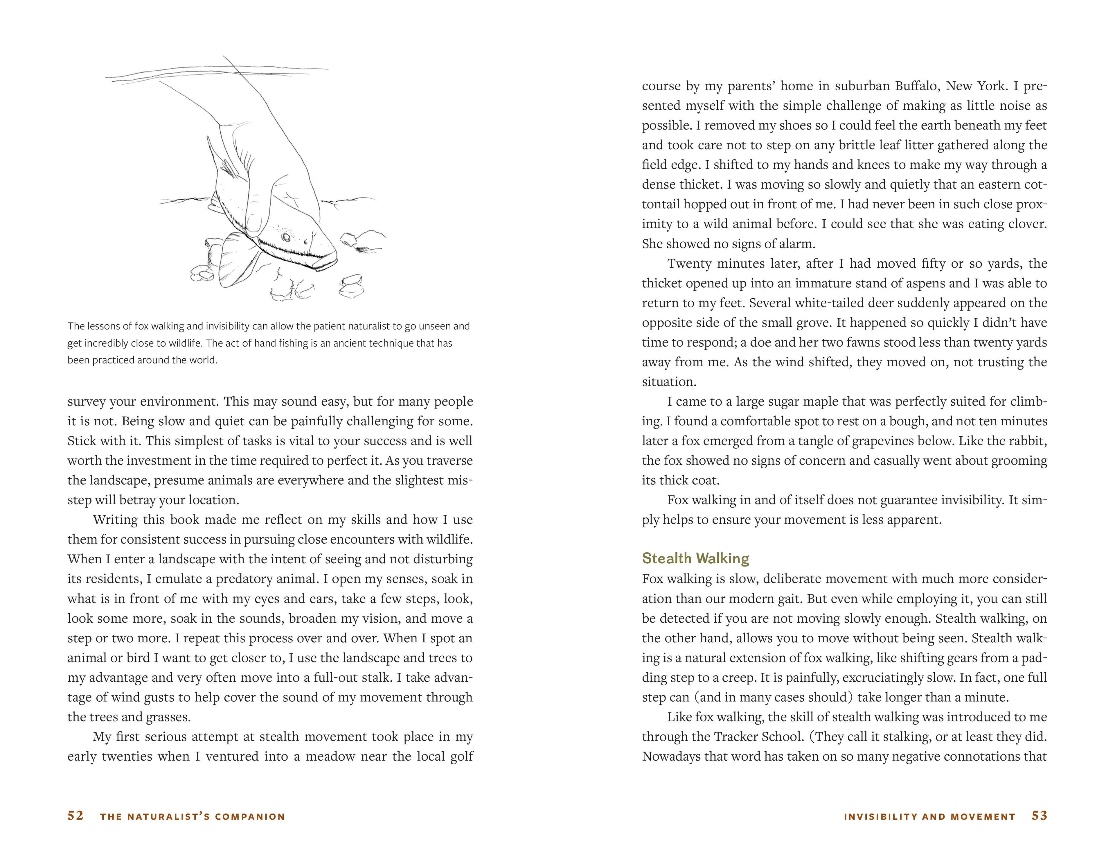 The Naturalist's Companion book