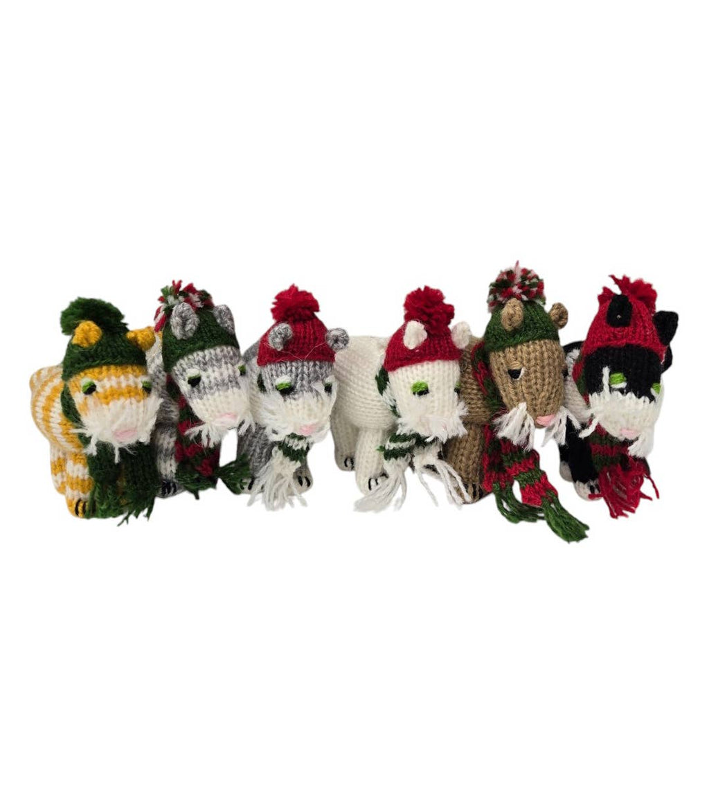 Set of knitted animal toys with winter hats and scarves on a white background