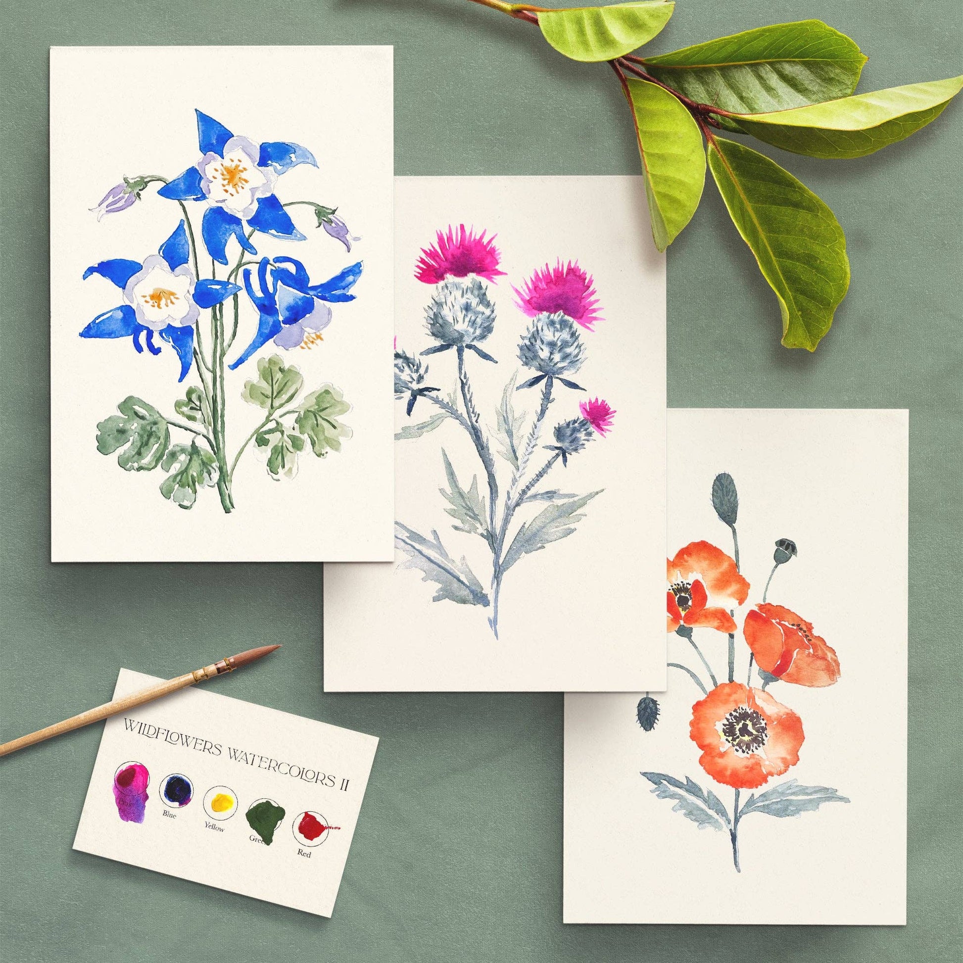 Set of floral cards with watercolor illustrations on a green background