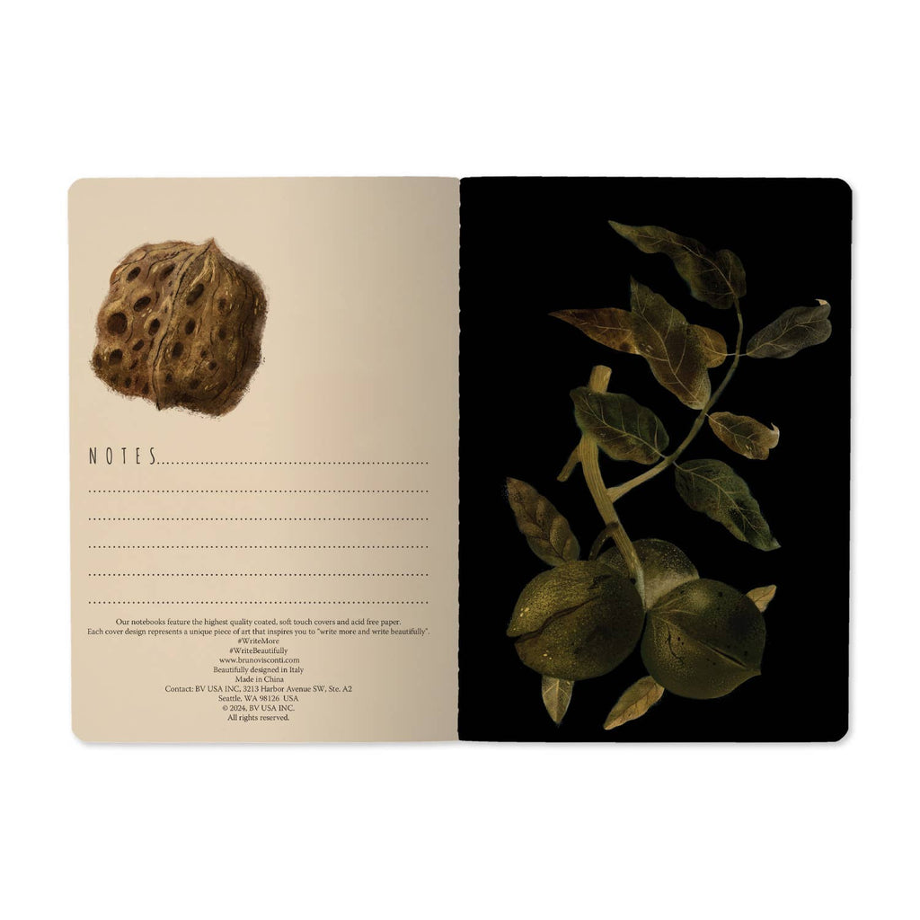 Notebook with botanical illustrations on a white background