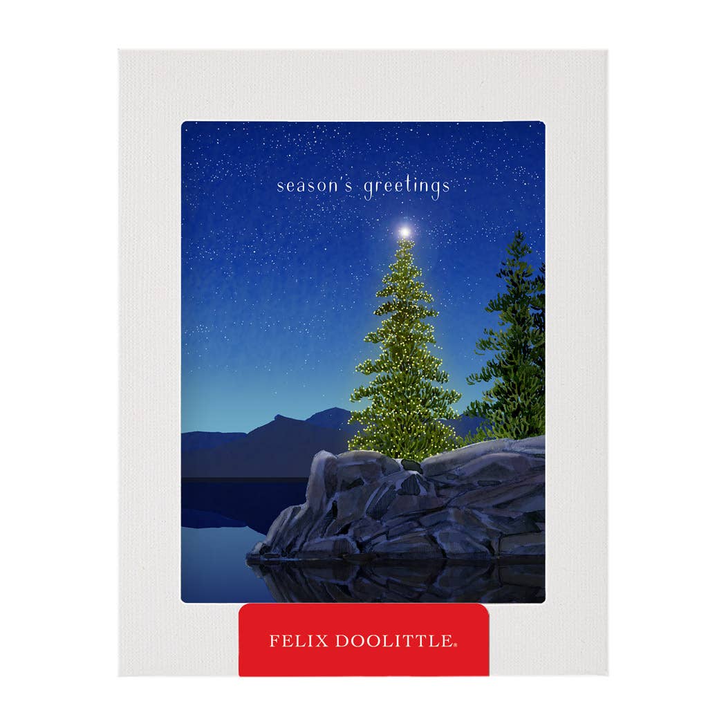 Twilight Tidings - Boxed Holiday Cards