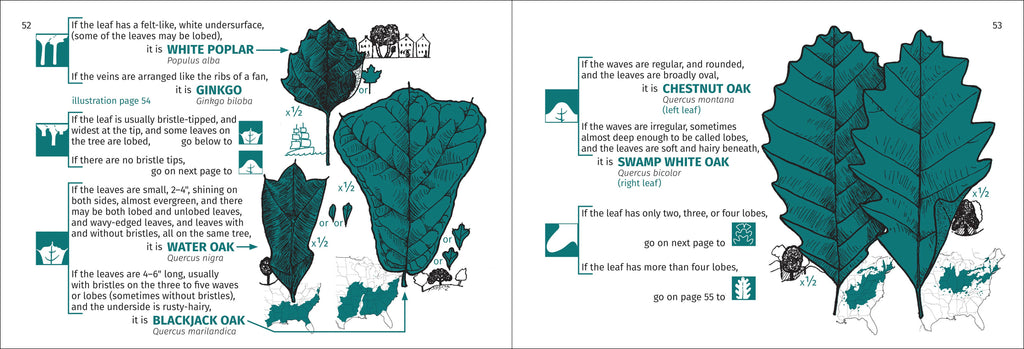 Tree Finder Eastern 3e