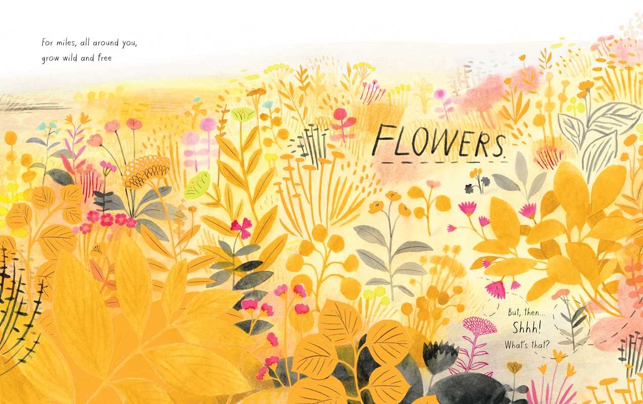 Honeybee by Kirsten Hall: Hardcover; 48 pages / English