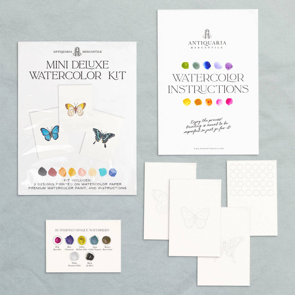 Mini deluxe watercolor kit with instructions and sample pages on a gray background