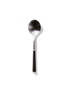The Metal Spoon