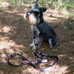 Park Hiker Dog Leash