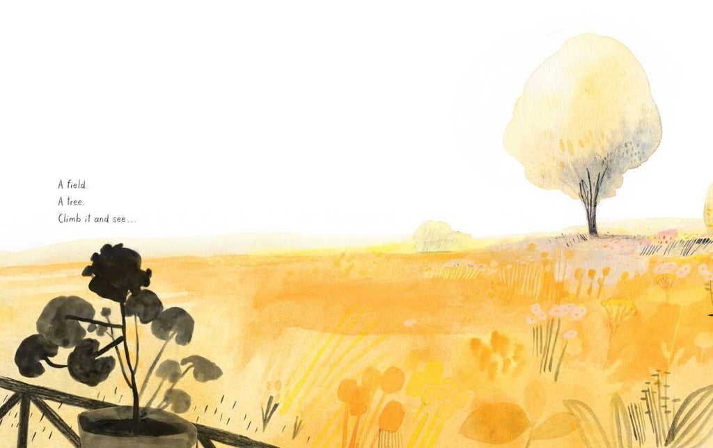 Honeybee by Kirsten Hall: Hardcover; 48 pages / English