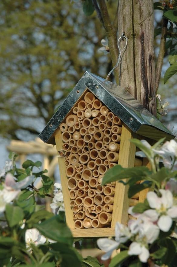Bee House Wigwam