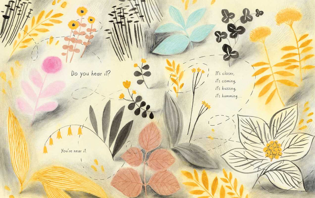 Honeybee by Kirsten Hall: Hardcover; 48 pages / English