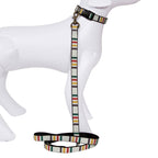 Convertible Adventure Dog Leash