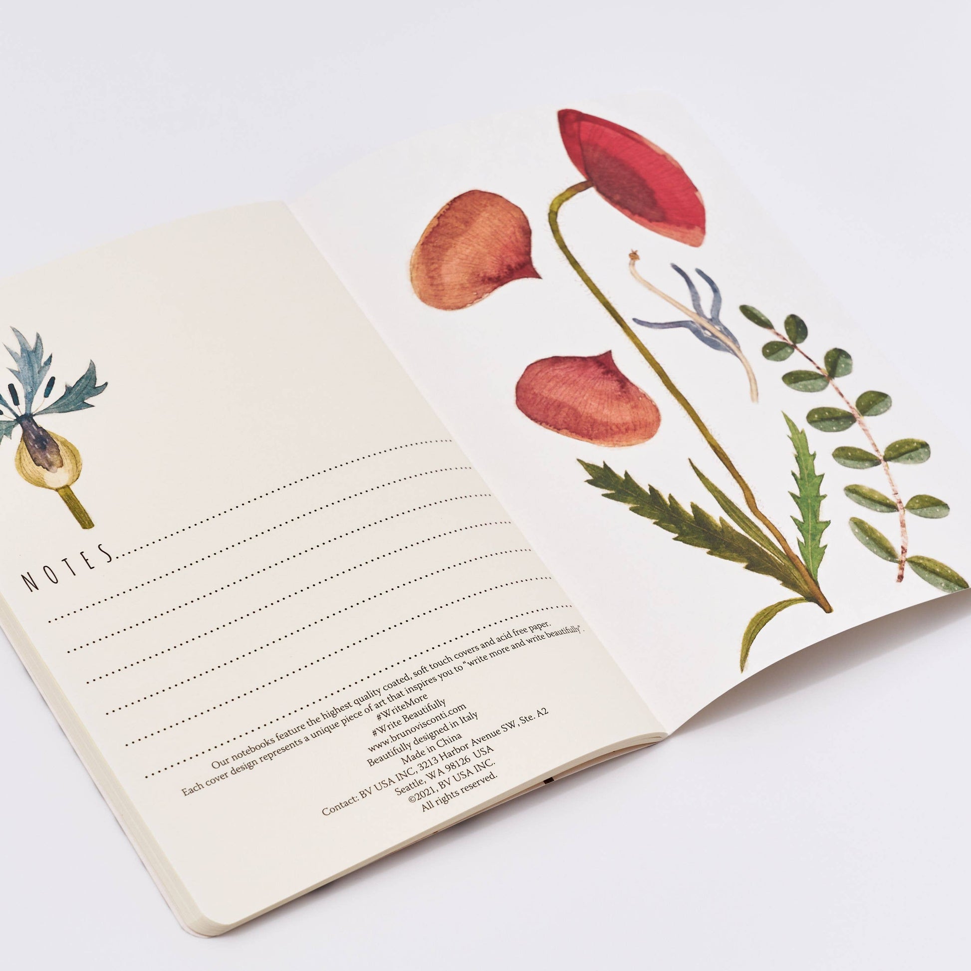 Open notebook with floral illustrations on a white background