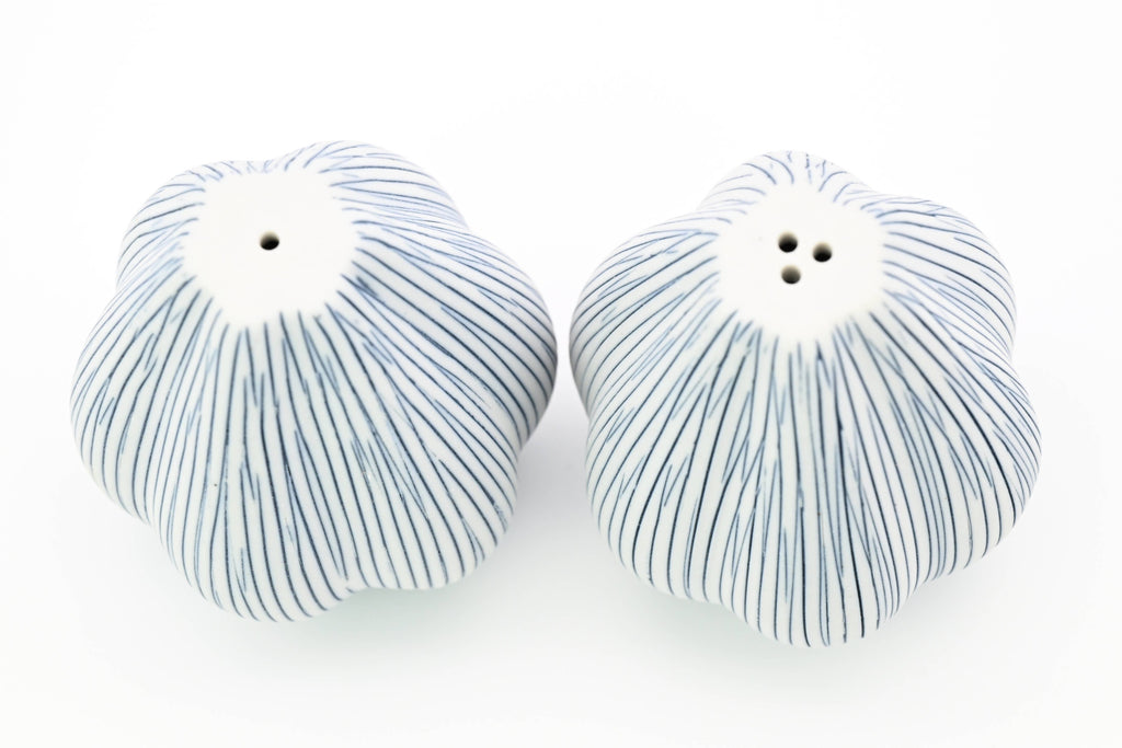 A pair of ceramic salt and pepper shakers with a textured, ribbed design in white and blue, photographed on a seamless white background.