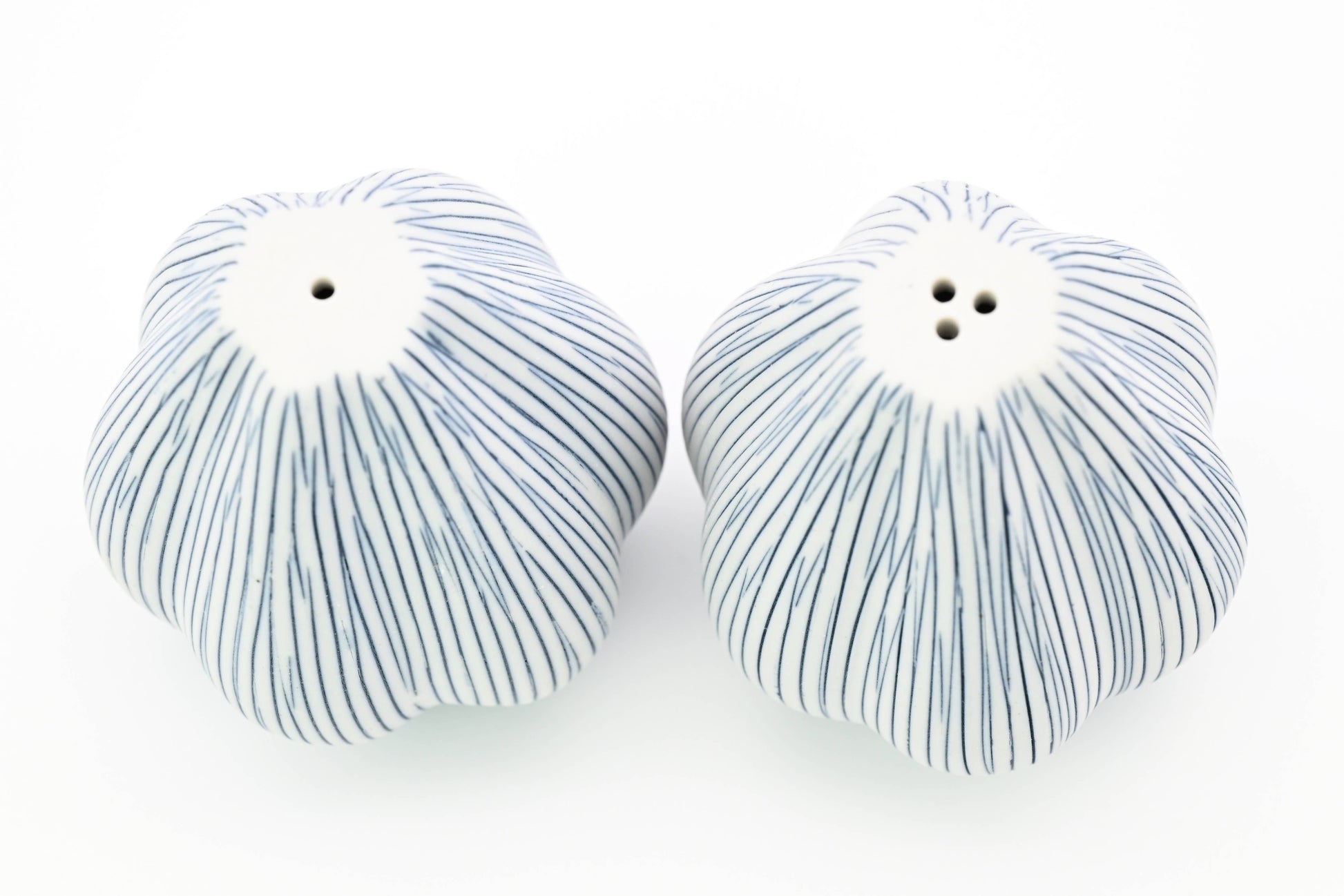 A pair of ceramic salt and pepper shakers with a textured, ribbed design in white and blue, photographed on a seamless white background.