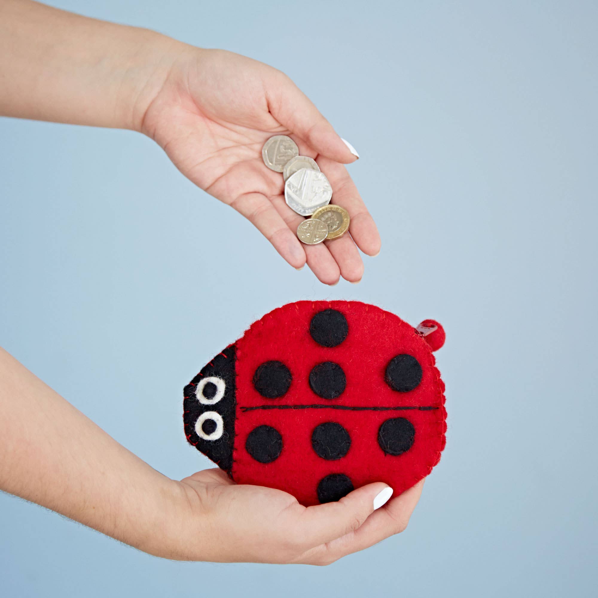 Felt Ladybird Purse - Gift for Kids
