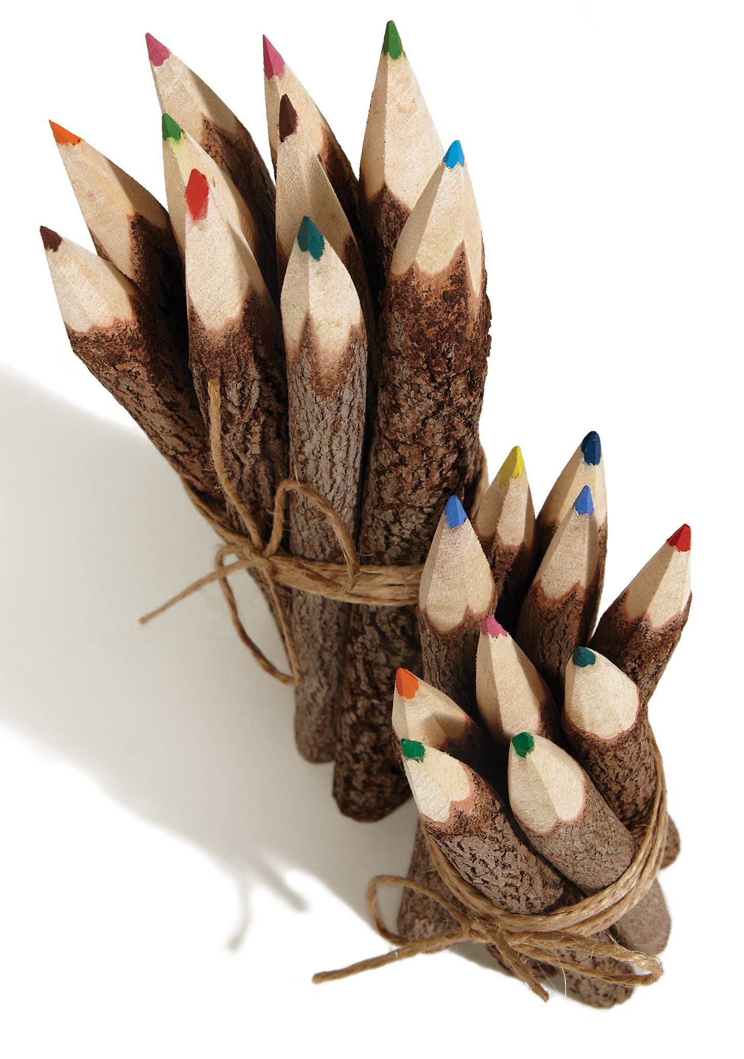 Pack of 10 Coloured Pencils – Twig Pencils