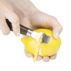2-in-1 Zester