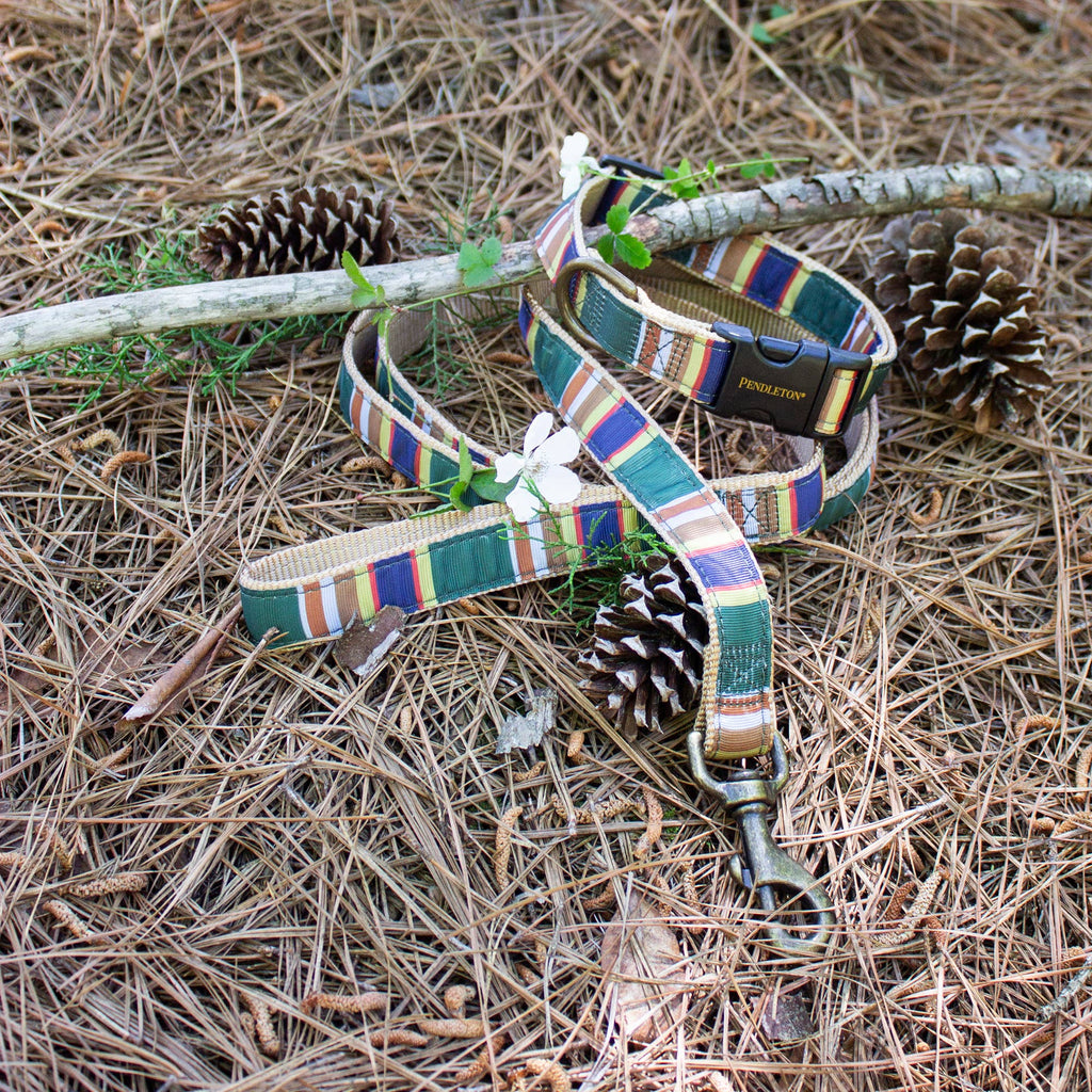 Park Hiker Dog Leash