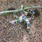 Park Hiker Dog Leash