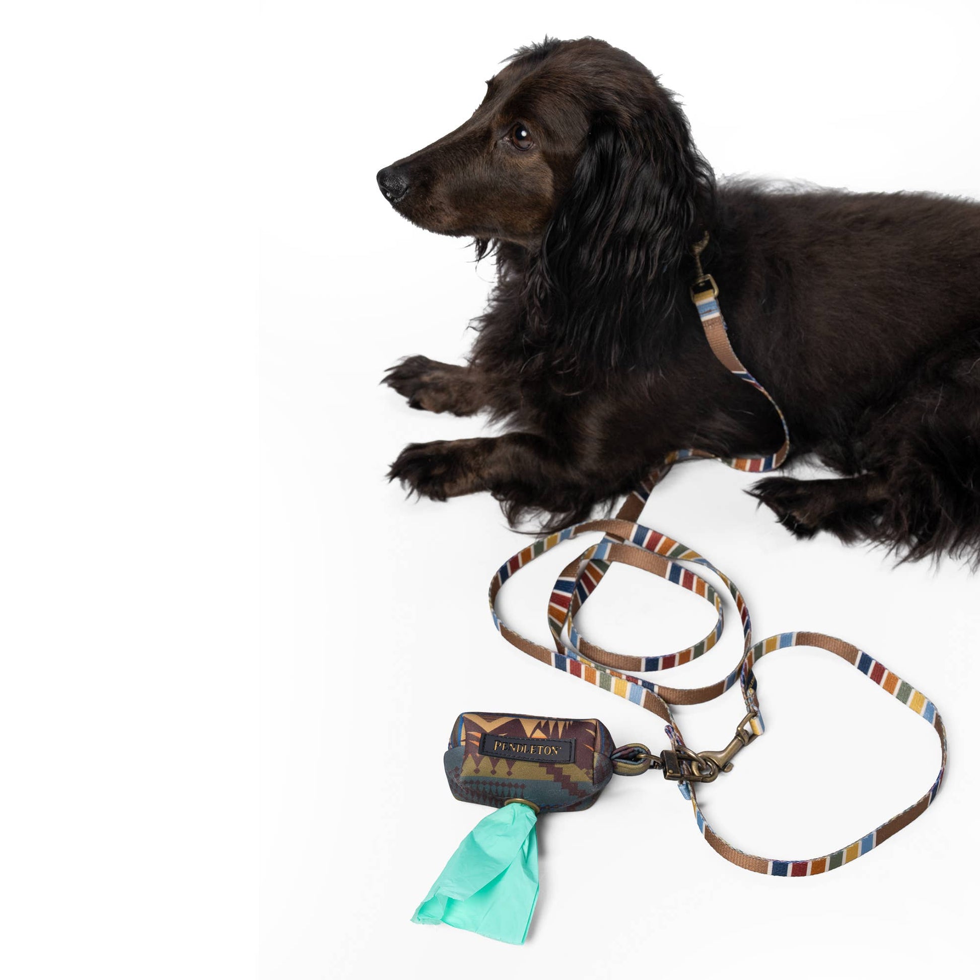 Pendleton National Park Convertible Adventure Dog Leash: Joshua Tree / Thin (3/4" wide)