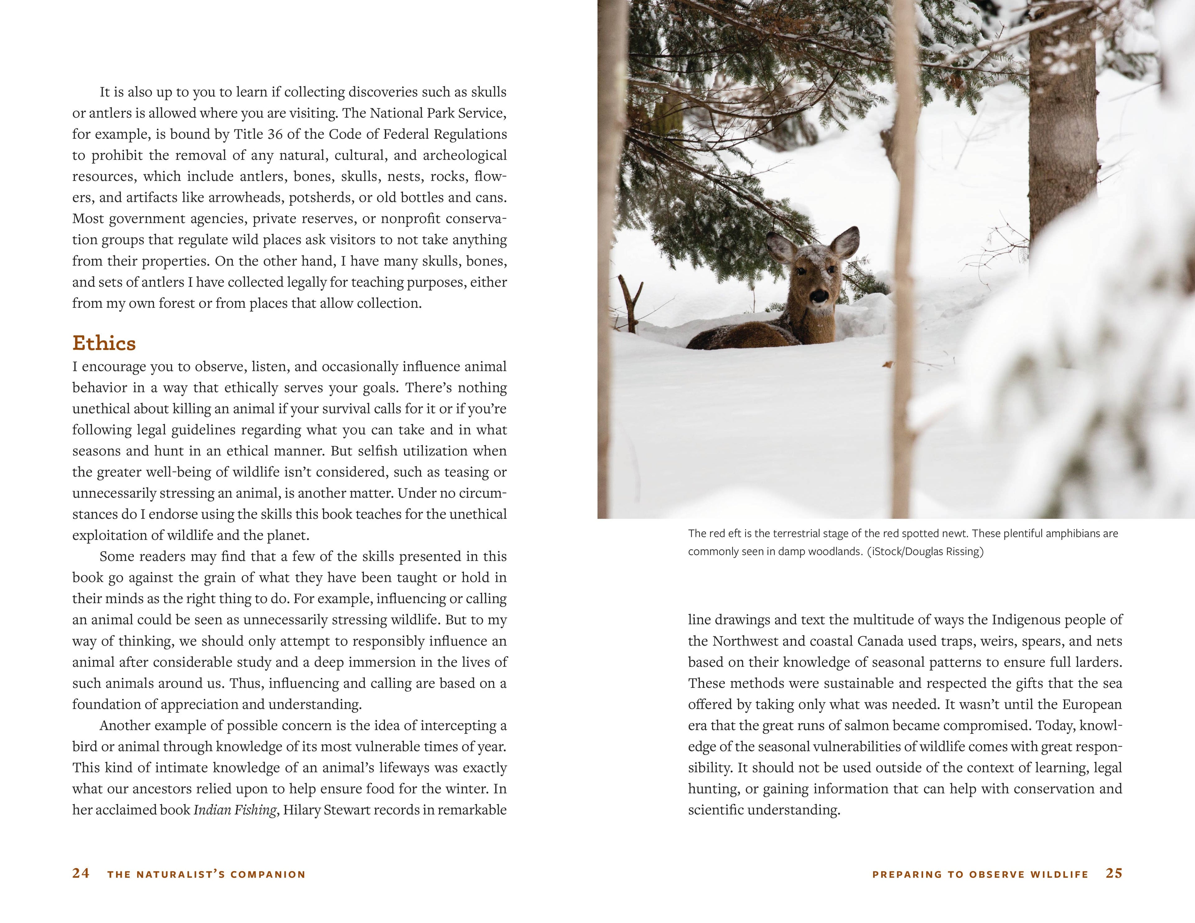 The Naturalist's Companion book