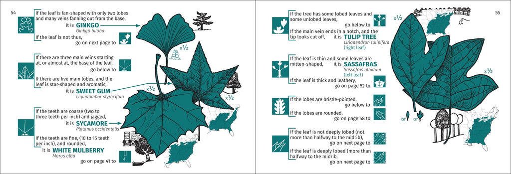 Tree Finder Eastern 3e