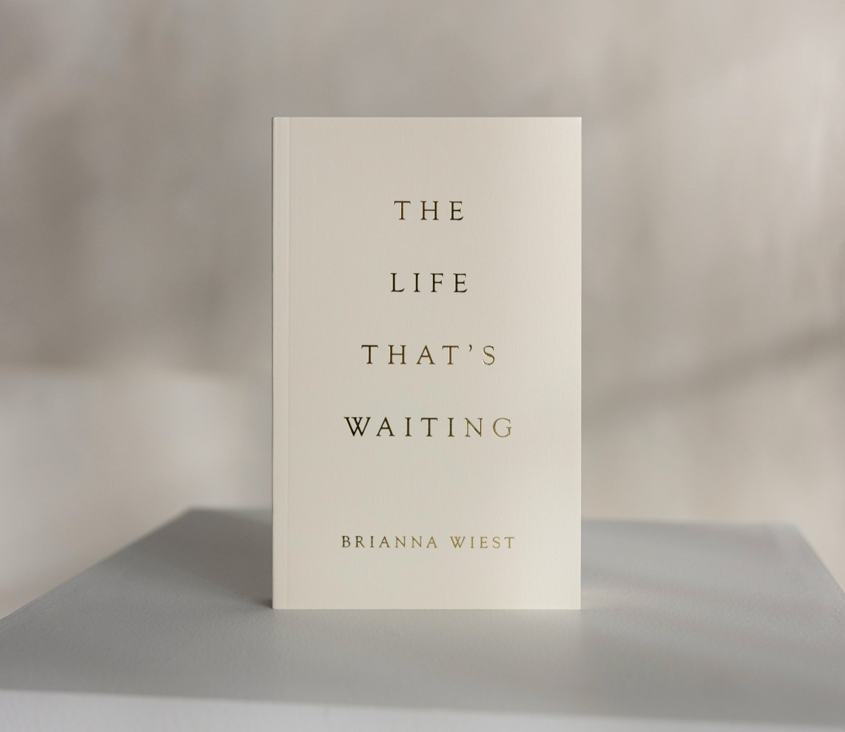 The Life That's Waiting - book