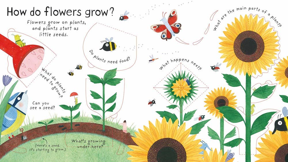 How do flowers grow?
