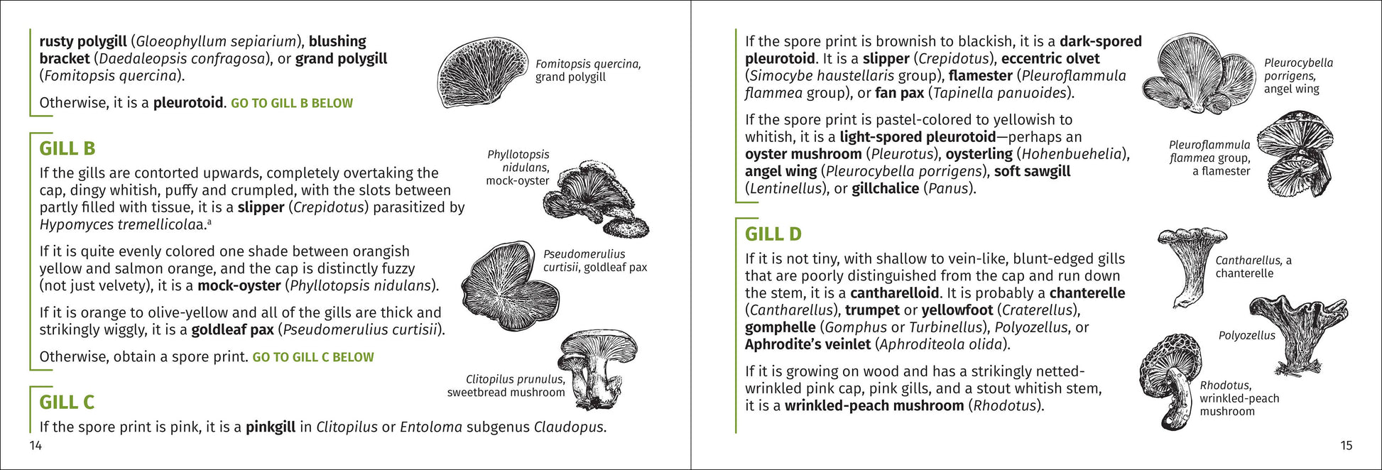 Mushroom Finder