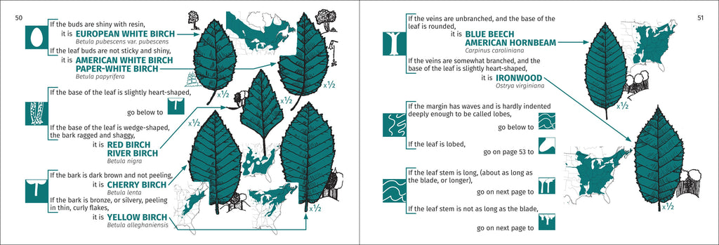 Tree Finder Eastern 3e