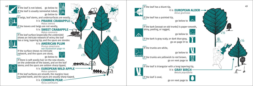 Tree Finder Eastern 3e