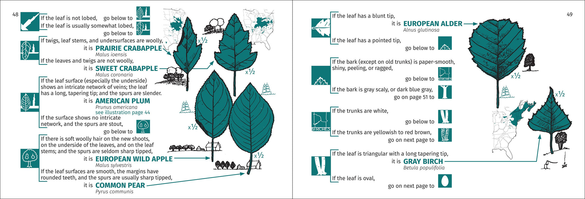Tree Finder Eastern 3e