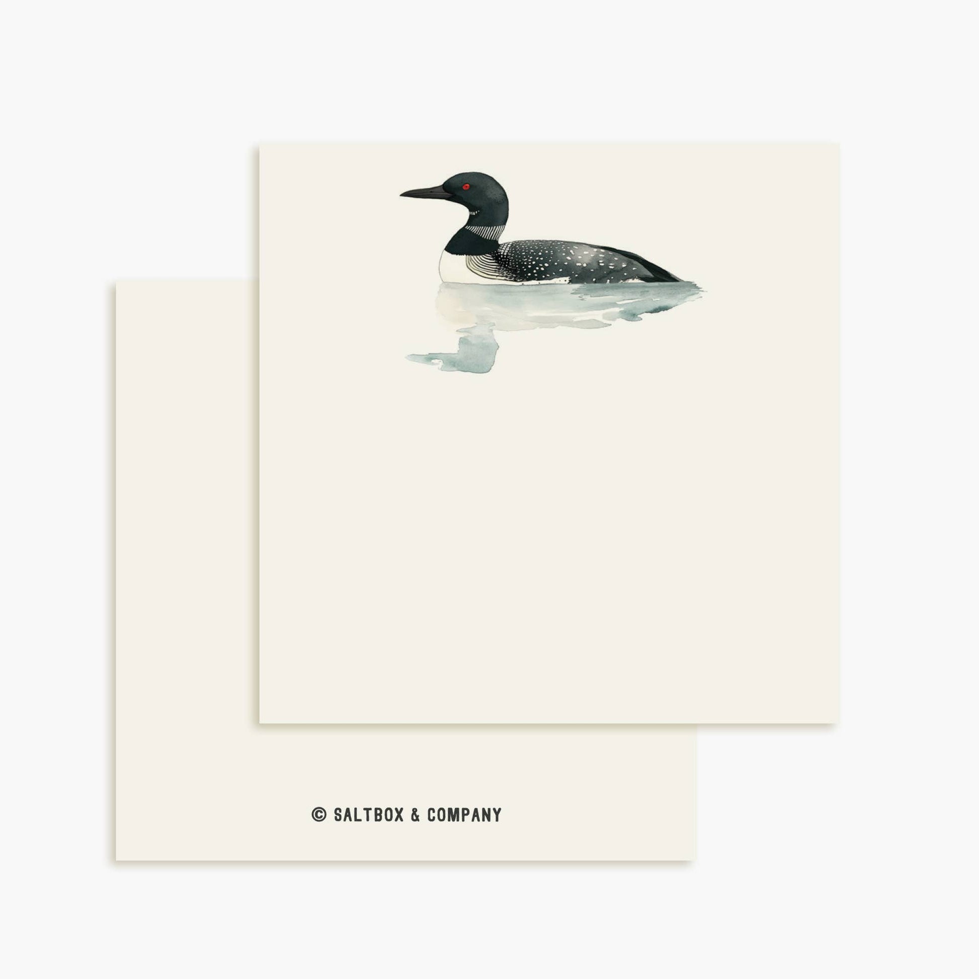 Loon Mini Notes | Set of 50