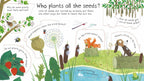 How do flowers grow?