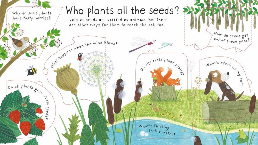 How do flowers grow?