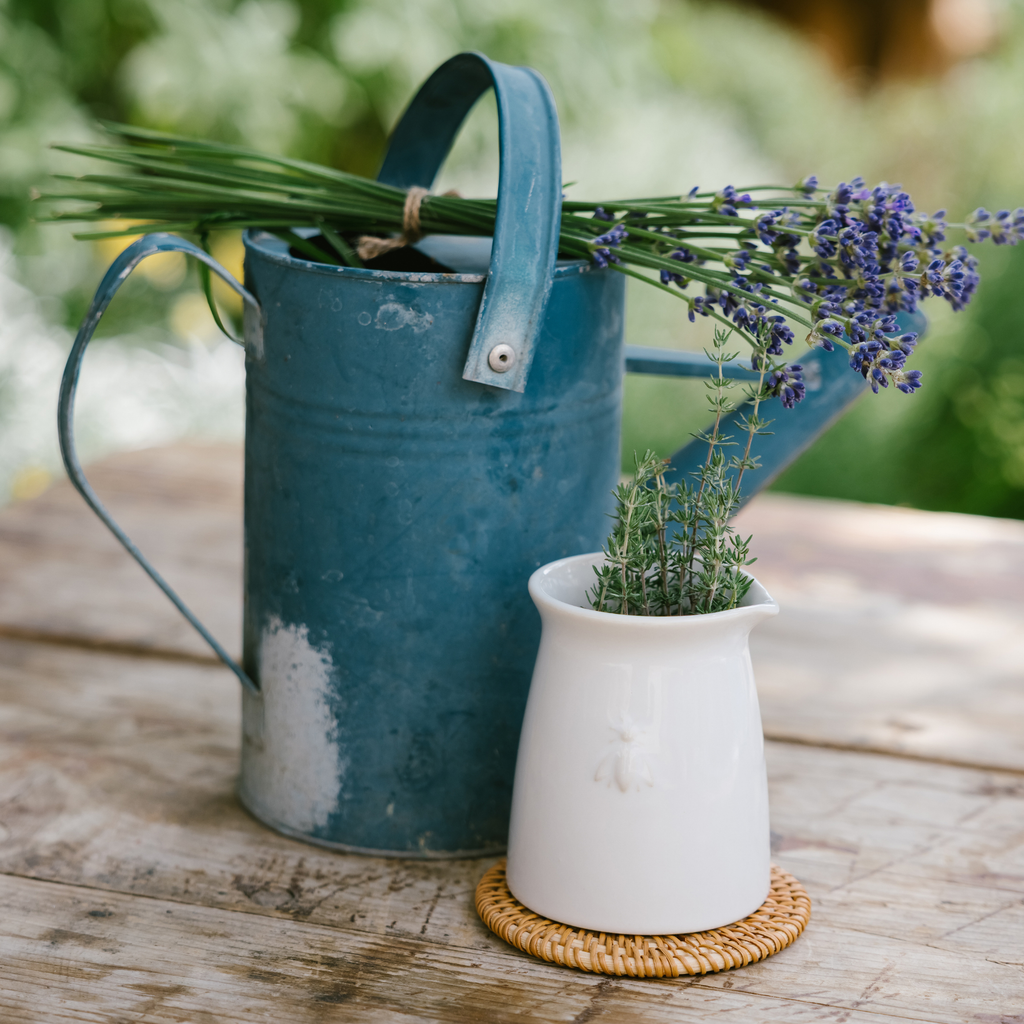 Bee Ceramic Creamer: Ecru