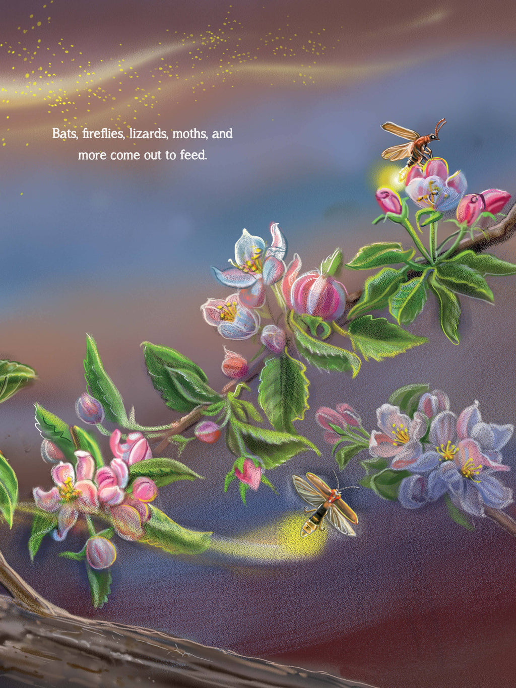 Meet the Pollinators: A Night and Day Adventure