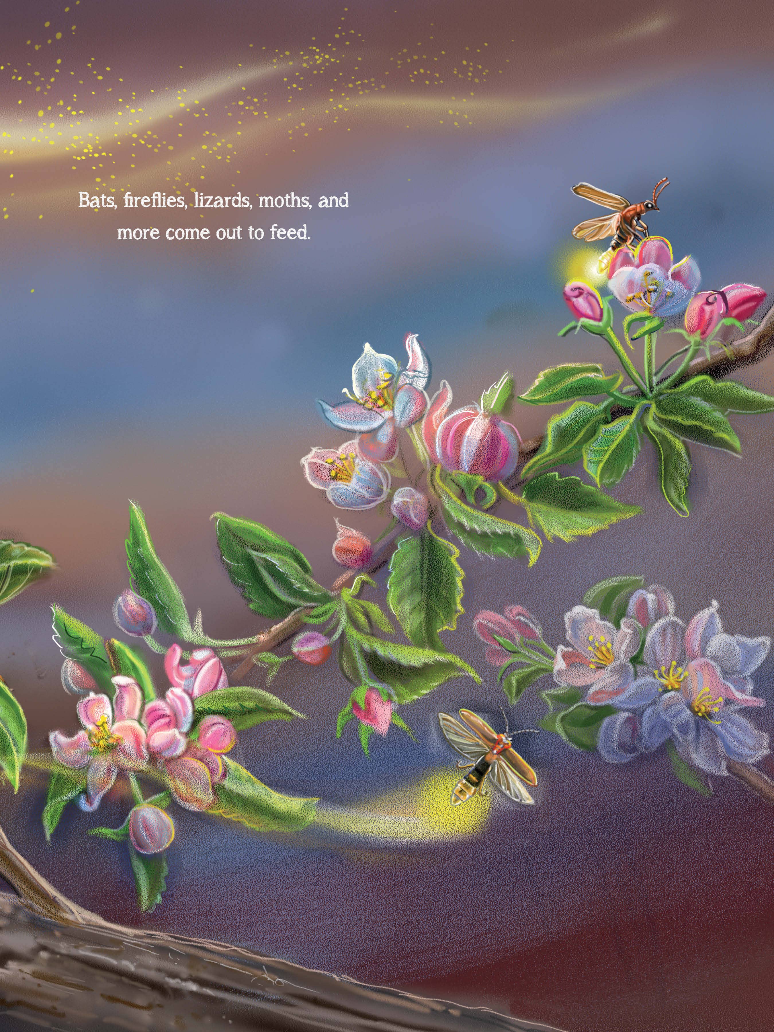 Meet the Pollinators: A Night and Day Adventure