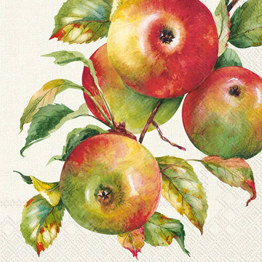 Cocktail Napkin 20 Ct Home Grown Apples Cream Fall