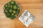 Henderson Hideaway Reversible Wilderness Napkin