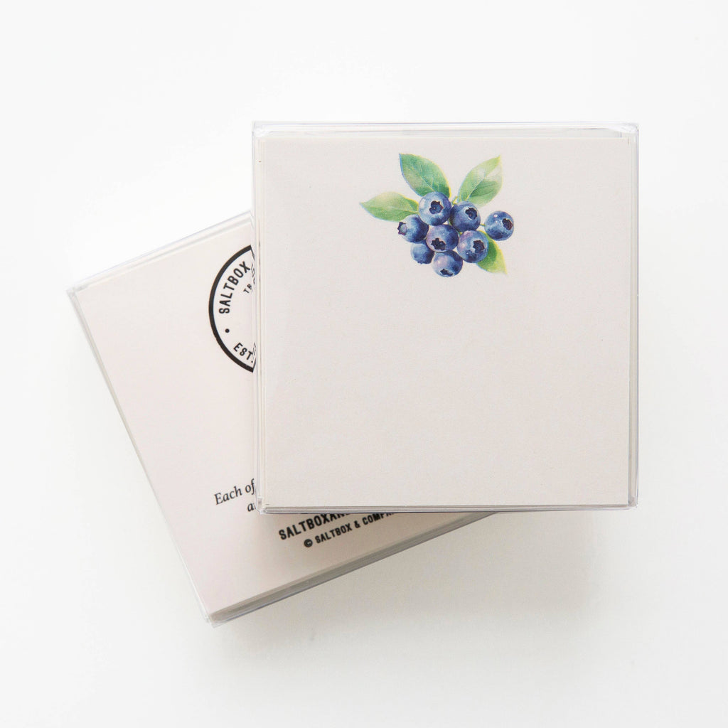 Blueberries Mini Notes | Set of 50