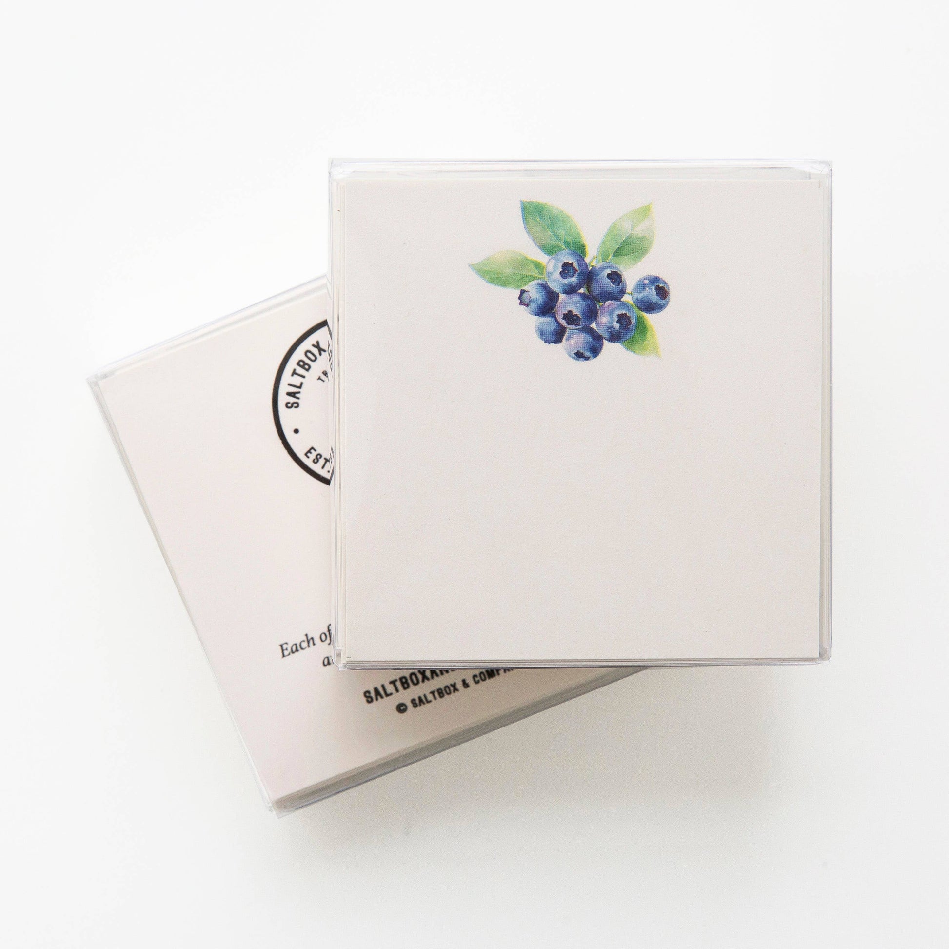 Blueberries Mini Notes | Set of 50