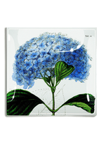 Ben's Garden - Blue Hydrangea Decoupage Glass Tray: 6"X 6"