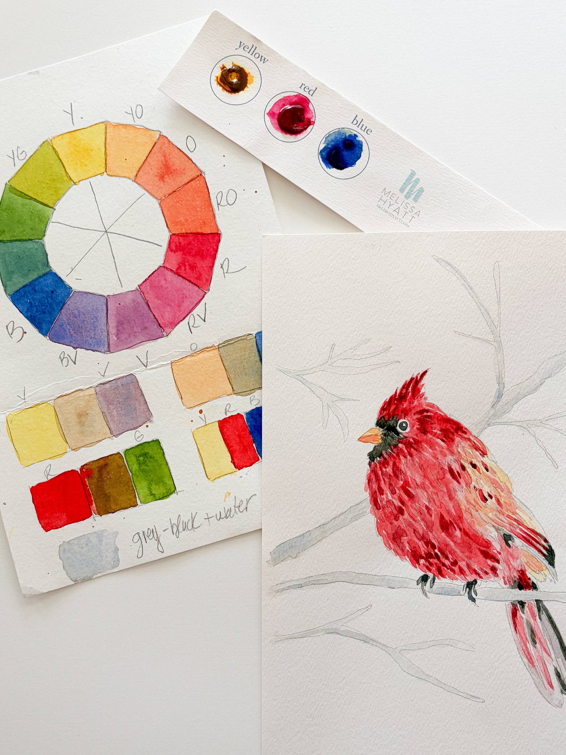 A watercolor painting of a red cardinal bird on a branch, arranged on a white surface alongside a watercolor wheel, color chips, and a paint swatch card.