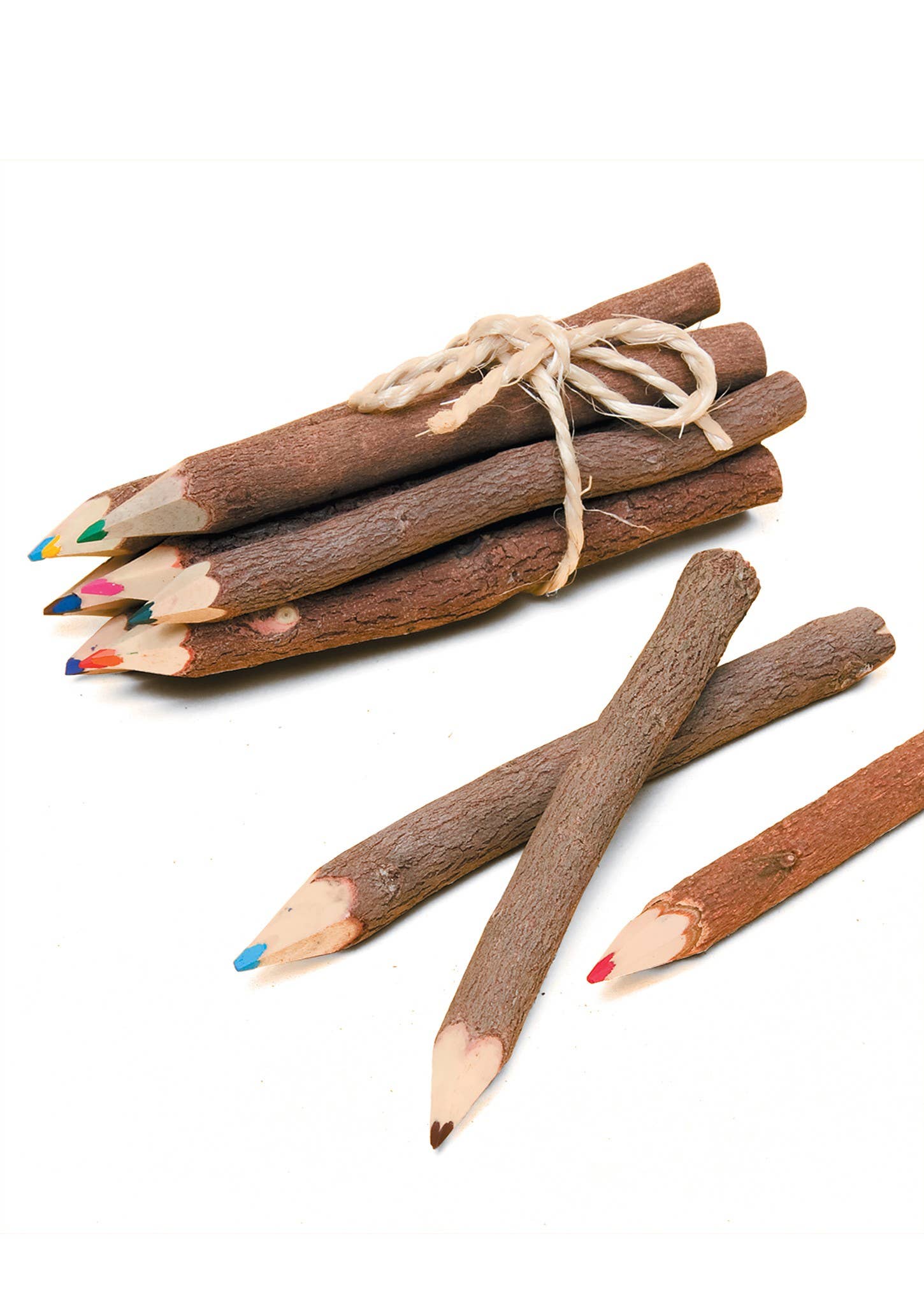 Pack of 10 Coloured Pencils – Twig Pencils