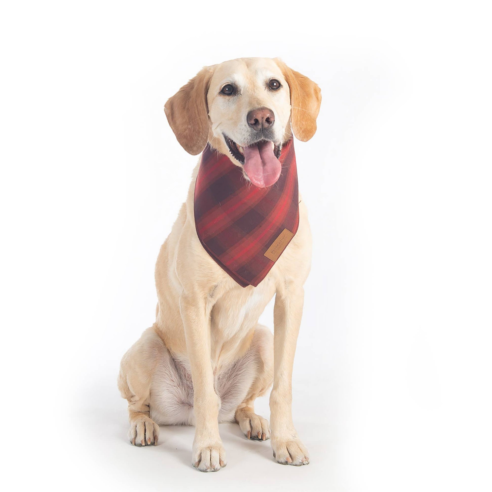Plaid Dog Bandana