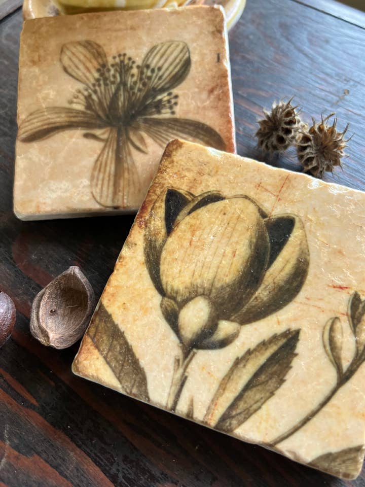 Sepia Botanicals Stone Coaster | Single