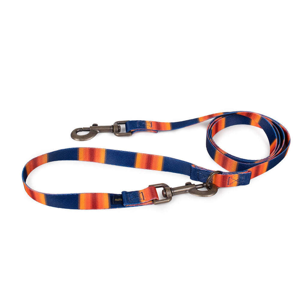 Pendleton National Park Convertible Adventure Dog Leash: Olympic / Thin (3/4" wide)