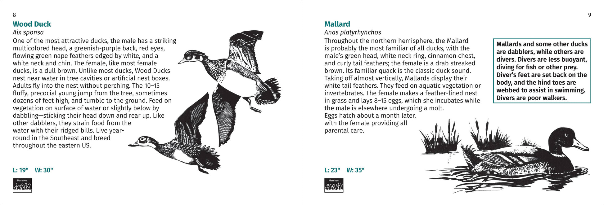 Bird Finder 2e