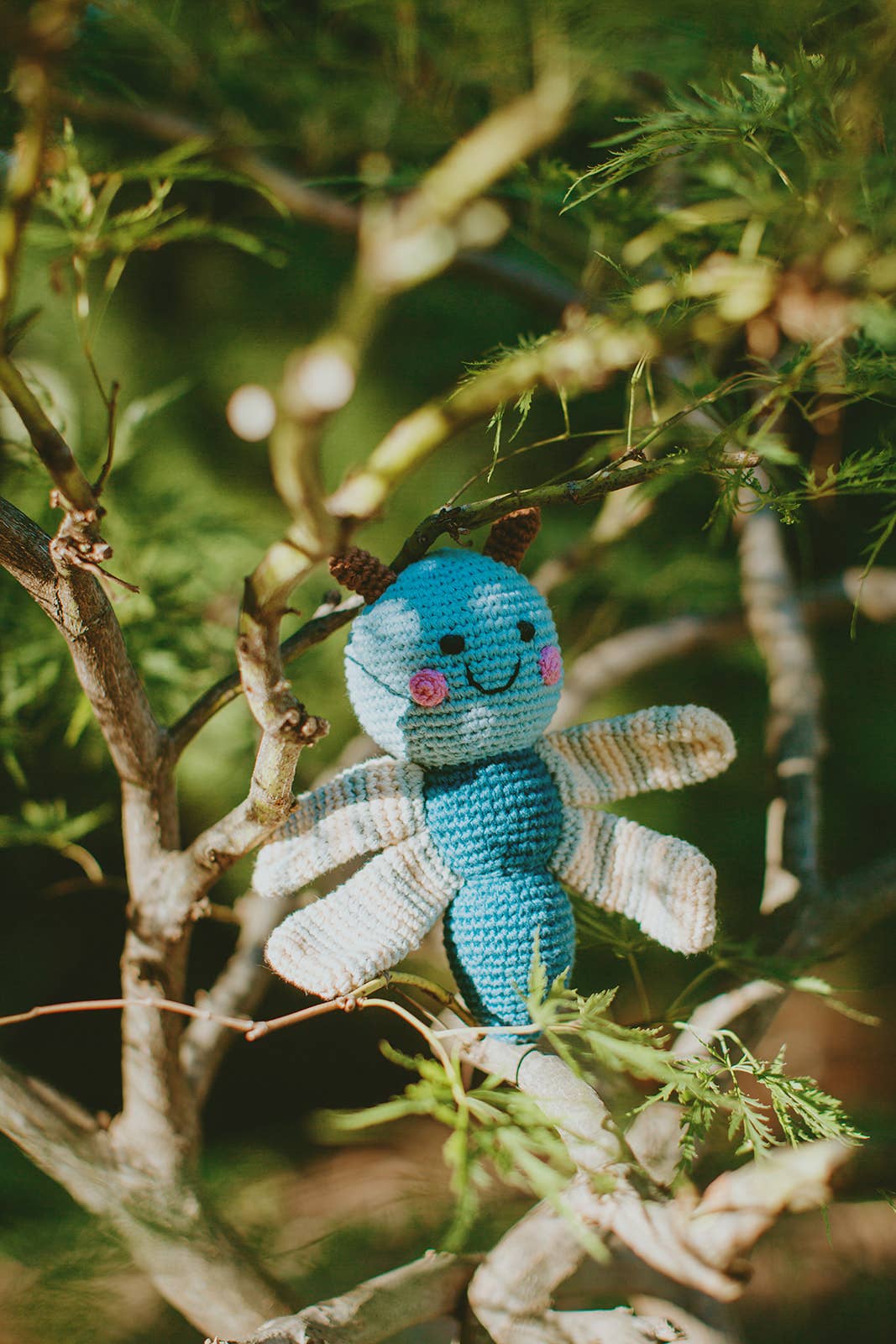 Winged Dragonfly Rattle - Garden-Themed Toy: Blue