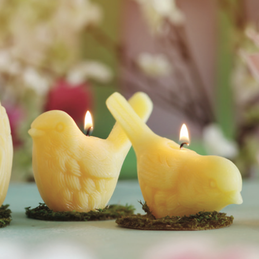 Song Bird Candles – 100% Pure Beeswax